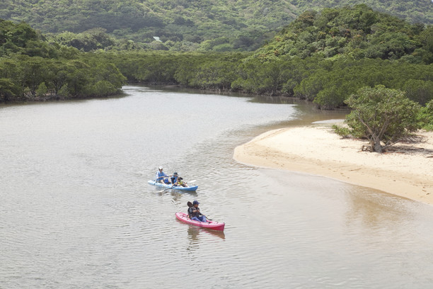 石垣島の吹通川でマングローブカヌー
