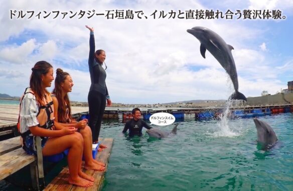 「ドルフィンファンタジー石垣島」にてドルフィンスイムコースをしている様子