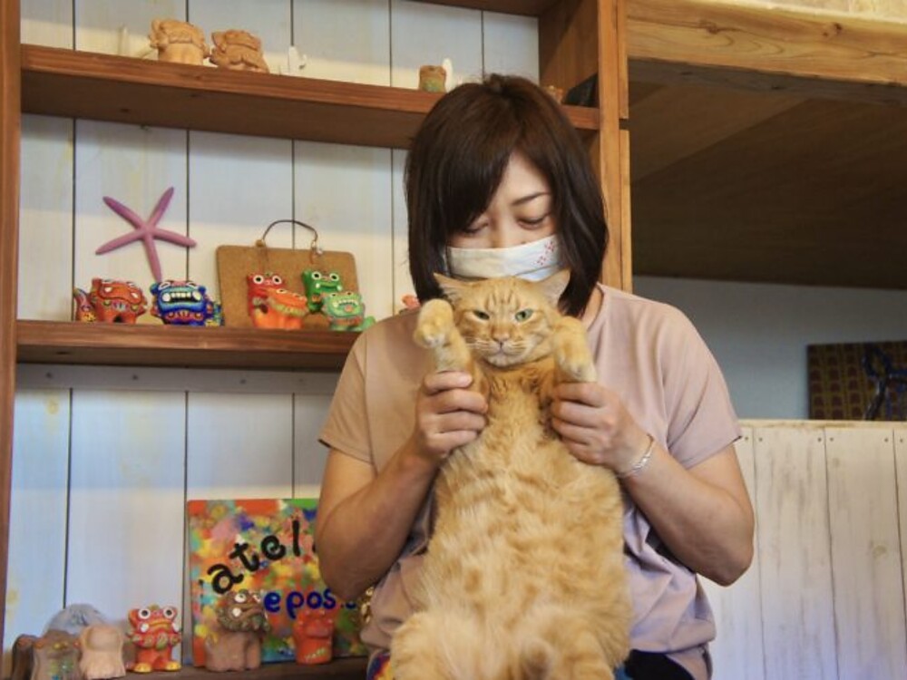 「ishigaki atelier_ma-ru.」のオーナー「山田 恭子」さんと飼い猫