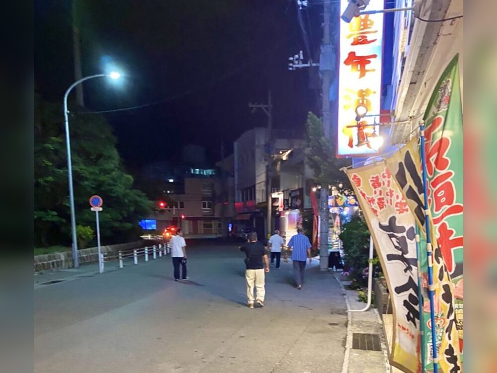 豊年満作 石垣店前の夜道
